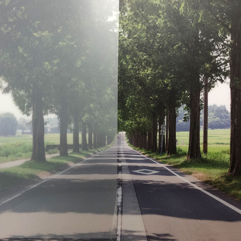 ファサラ フロスト/マット SH2MAML ミルキーホワイト 1524mm(長さは1~59mで選択)