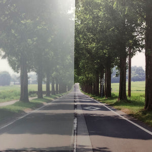 ファサラ フロスト/マット SH2MAML ミルキーホワイト 1524mmX60m