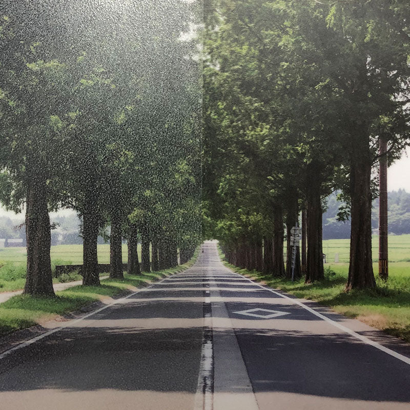 ファサラ フロスト/マット SH2EMLA ローザンヌ 1016mmX30m