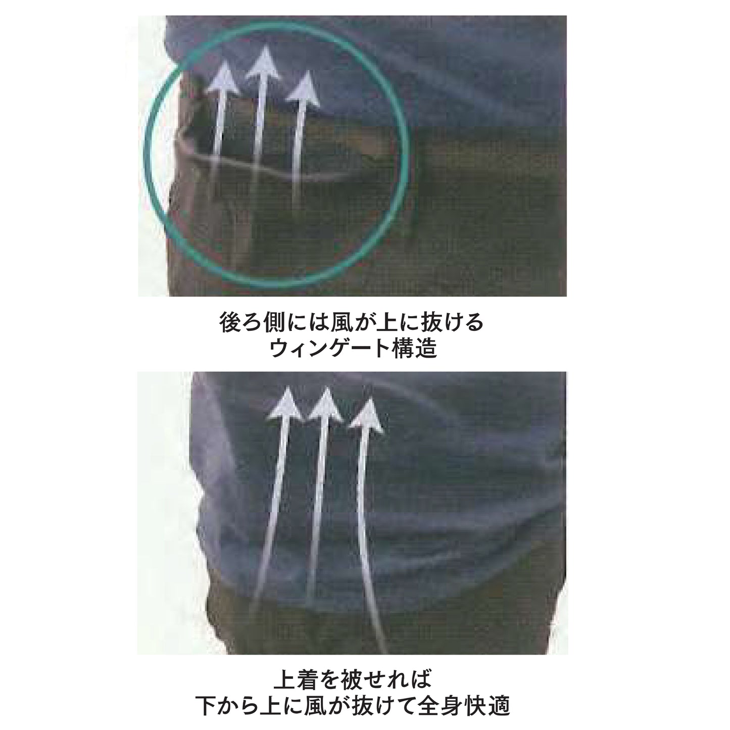 EFウエア パンツ AR4269