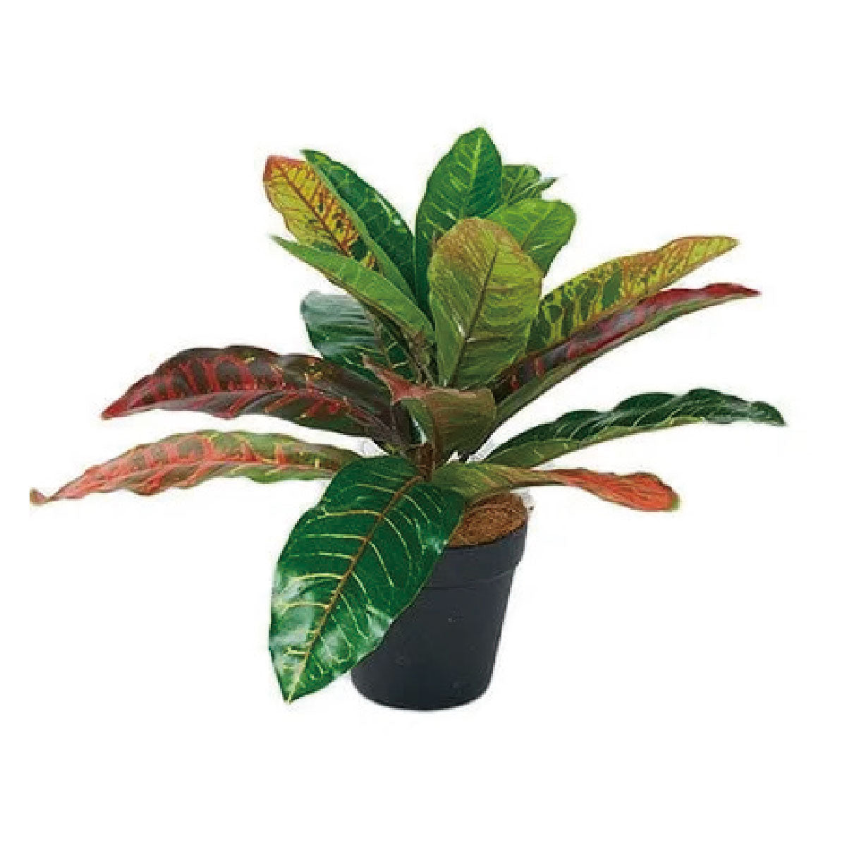 フェイクグリーンSIMPLANTS(クロトン)