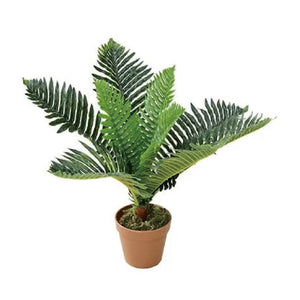 フェイクグリーンSIMPLANTS(アレカヤシ50)