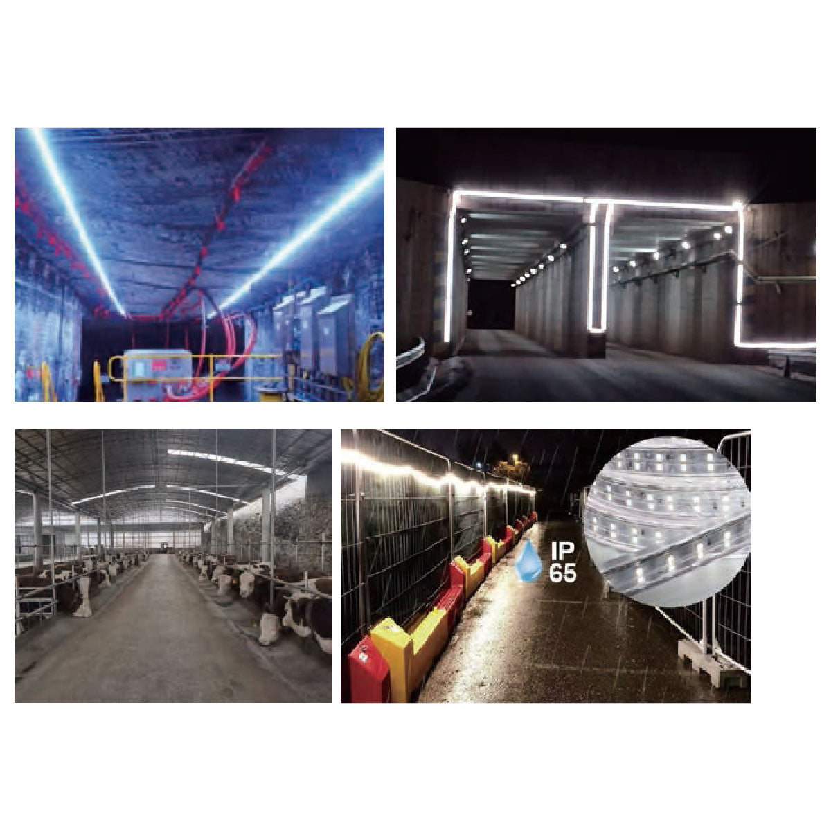 テープライト 900lm 片面(リール付)10m