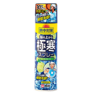 服の上から極寒スプレー シトラスミント