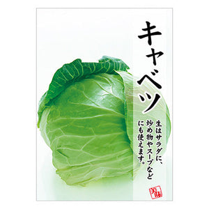 年間タイトルポップ ポスターファクトリー キャベツ A3 AS9-0359