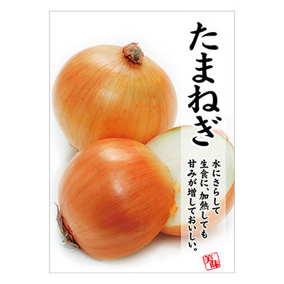 年間タイトルポップ ポスターファクトリー タマネギ A3 AS9-0361