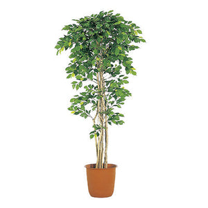 年間デコレーション 立木(光触媒) ベンジャミンツイン (L) TI8-0187