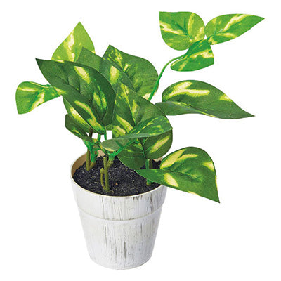 年間デコレーション 置き物 ポトスポット TE8-0056