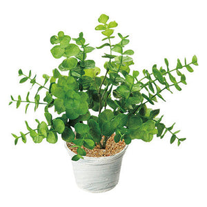 年間デコレーション 置き物 ユーカリポット TE8-0057