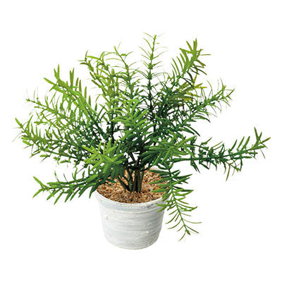 年間デコレーション 置き物 ローズマリーポット TE8-0058