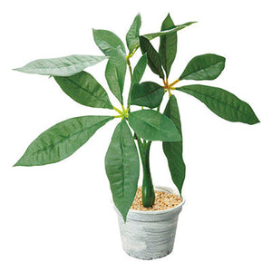 年間デコレーション 置き物 パキラポット TE8-0059