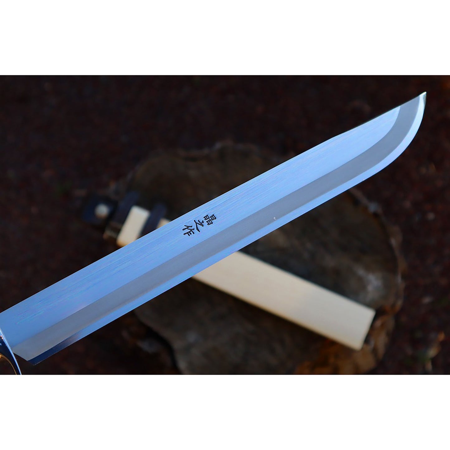 有害駆除剣鉈300 白鋼 磨 樫柄 ステンツバ輪 木鞘革バンド 晶之作