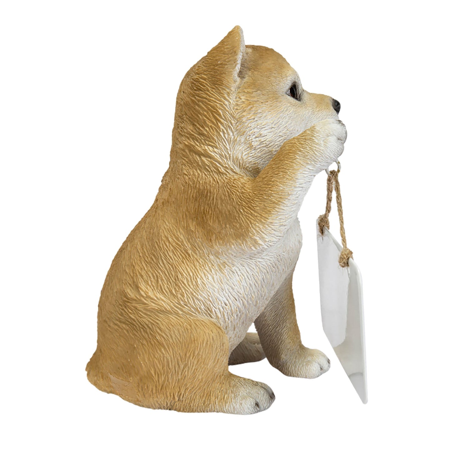 右手でボードを持つ柴犬