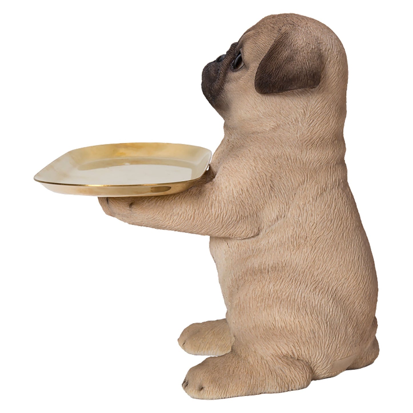 パグの小物置き(マグネットで取り外し可能皿)