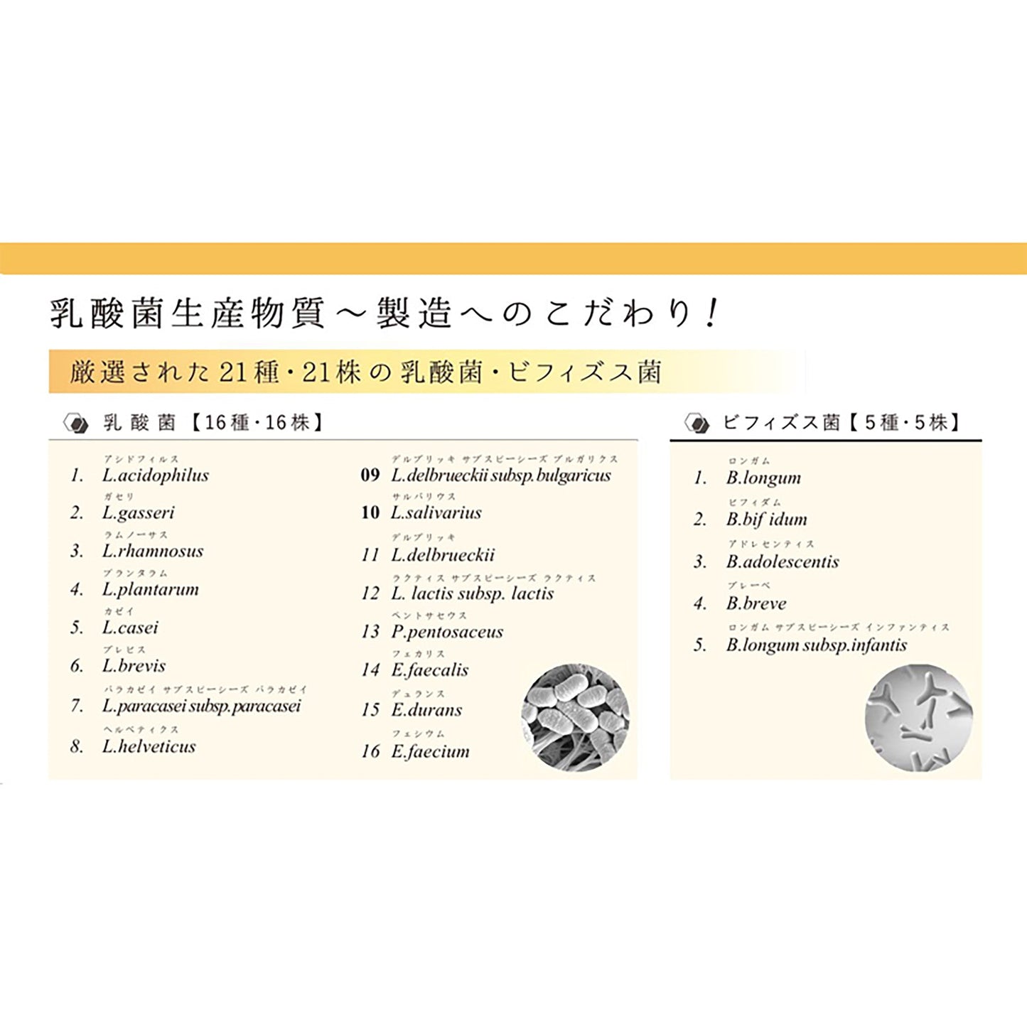 乳酸菌発酵物質 癒友輝 腸活 善玉菌 乳酸菌発酵エキス 腸内環境 1.5g×30包