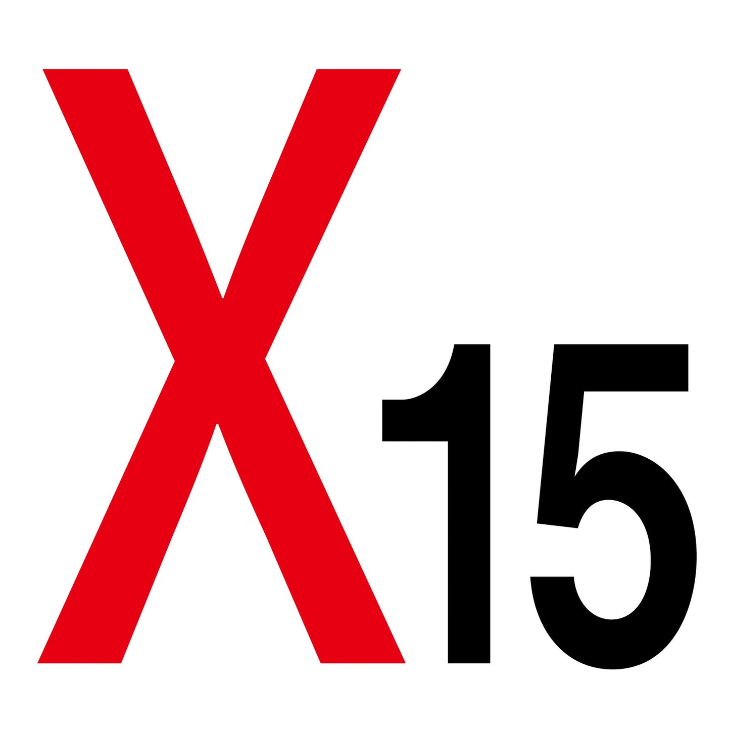 通り芯標識300角 マグネット X15