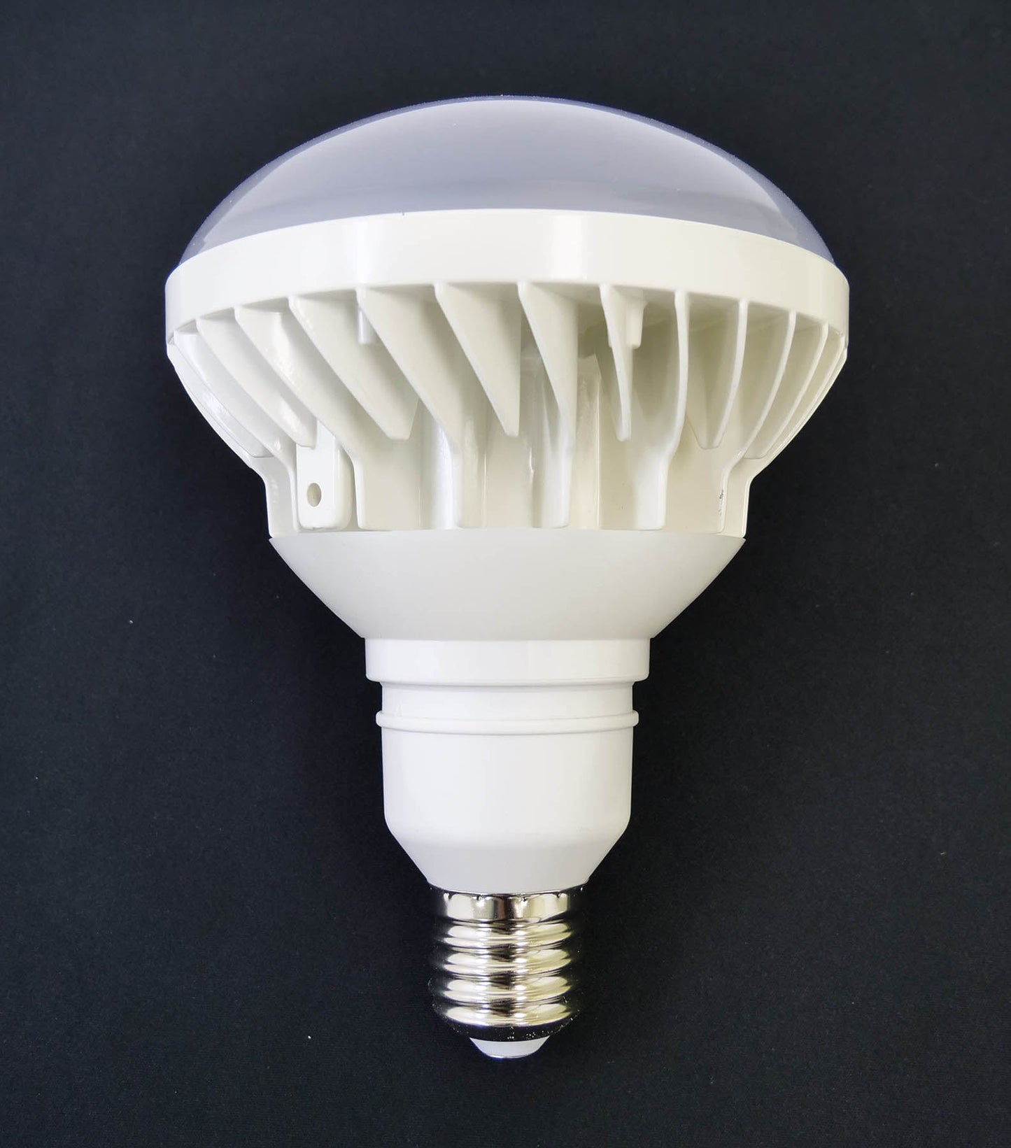 投光器用 LED電球 50W