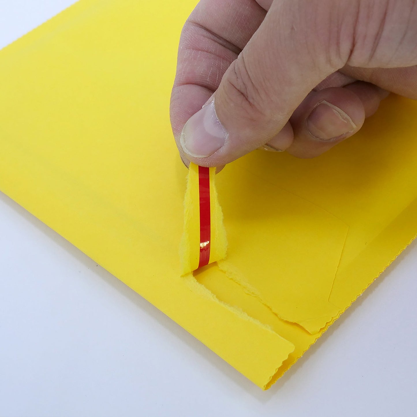 エアクッション封筒エコ 300枚セット No.810T