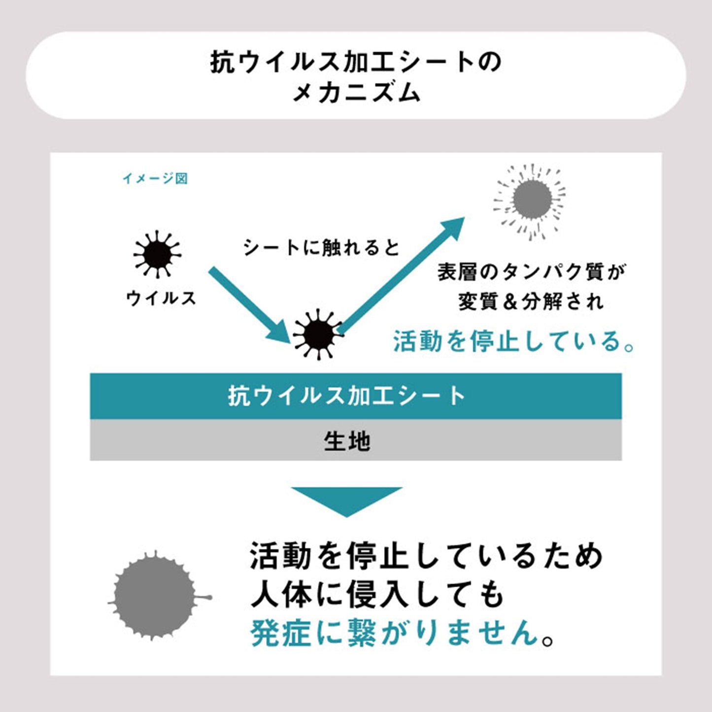 SUTENAI抗ウイルスマルチケース PA花OR