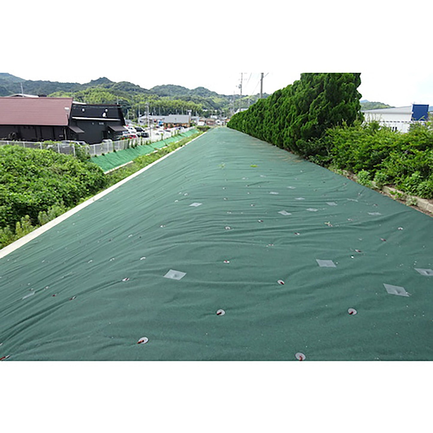 防草シート 緑化マルチフェルトVer5 200cm幅