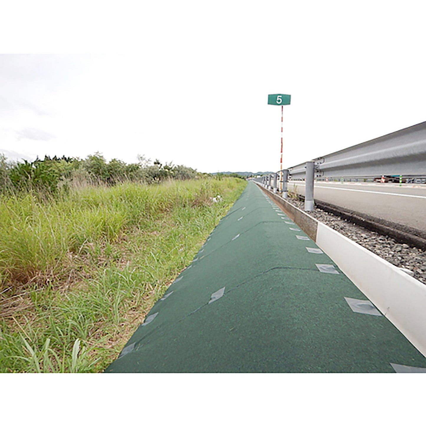 防草シート 緑化マルチフェルトエバー 100cm幅