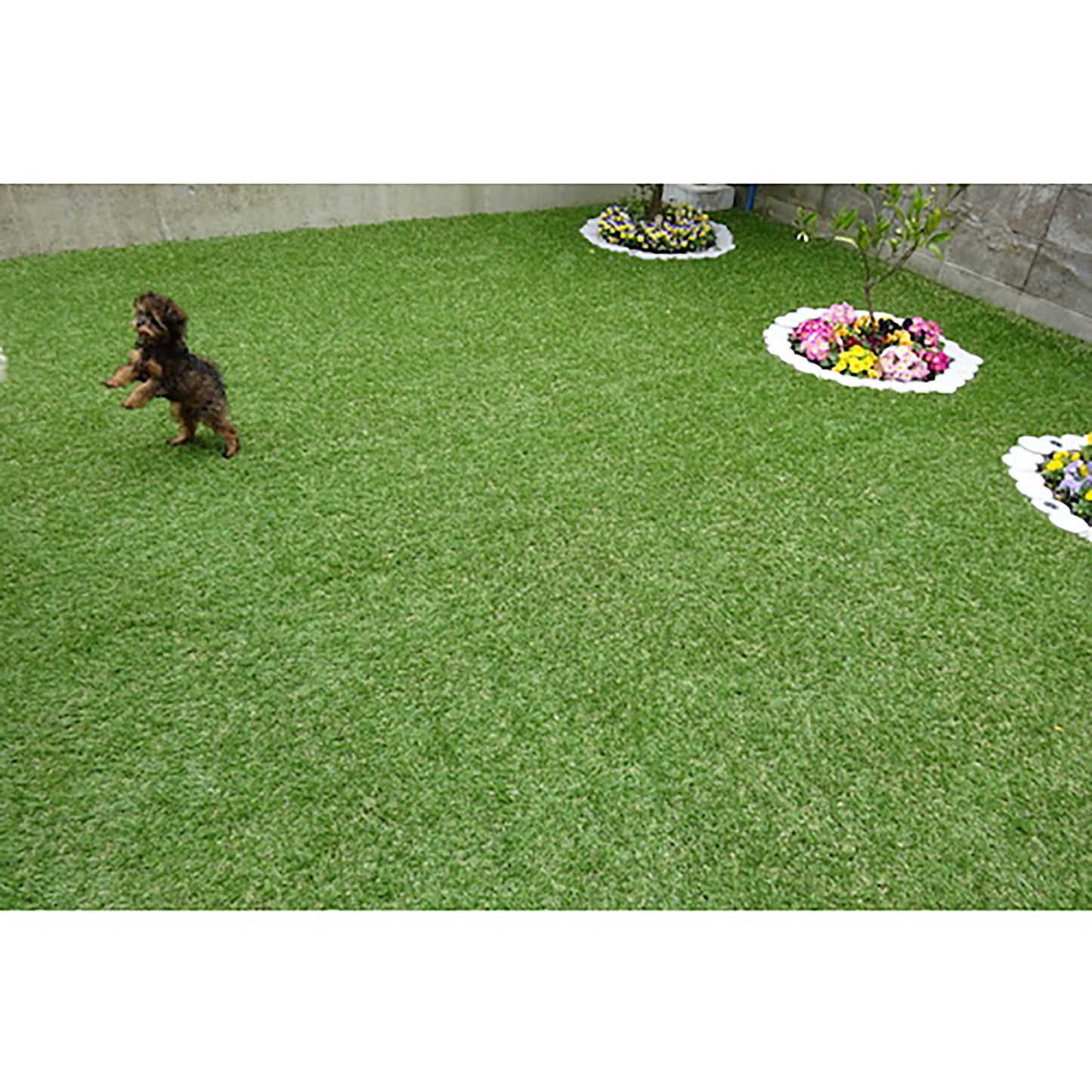 バロン人工芝 200cm×10m