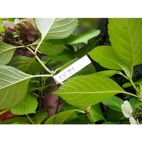 自着テープ 茶 25mm幅 6本入り