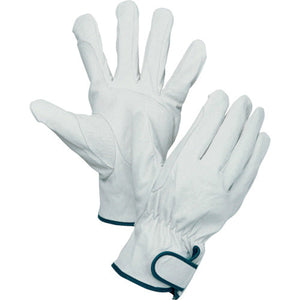 南国レインジャーアテ付 M 112W-M