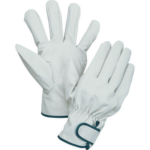 南国クレストマジック付 113W