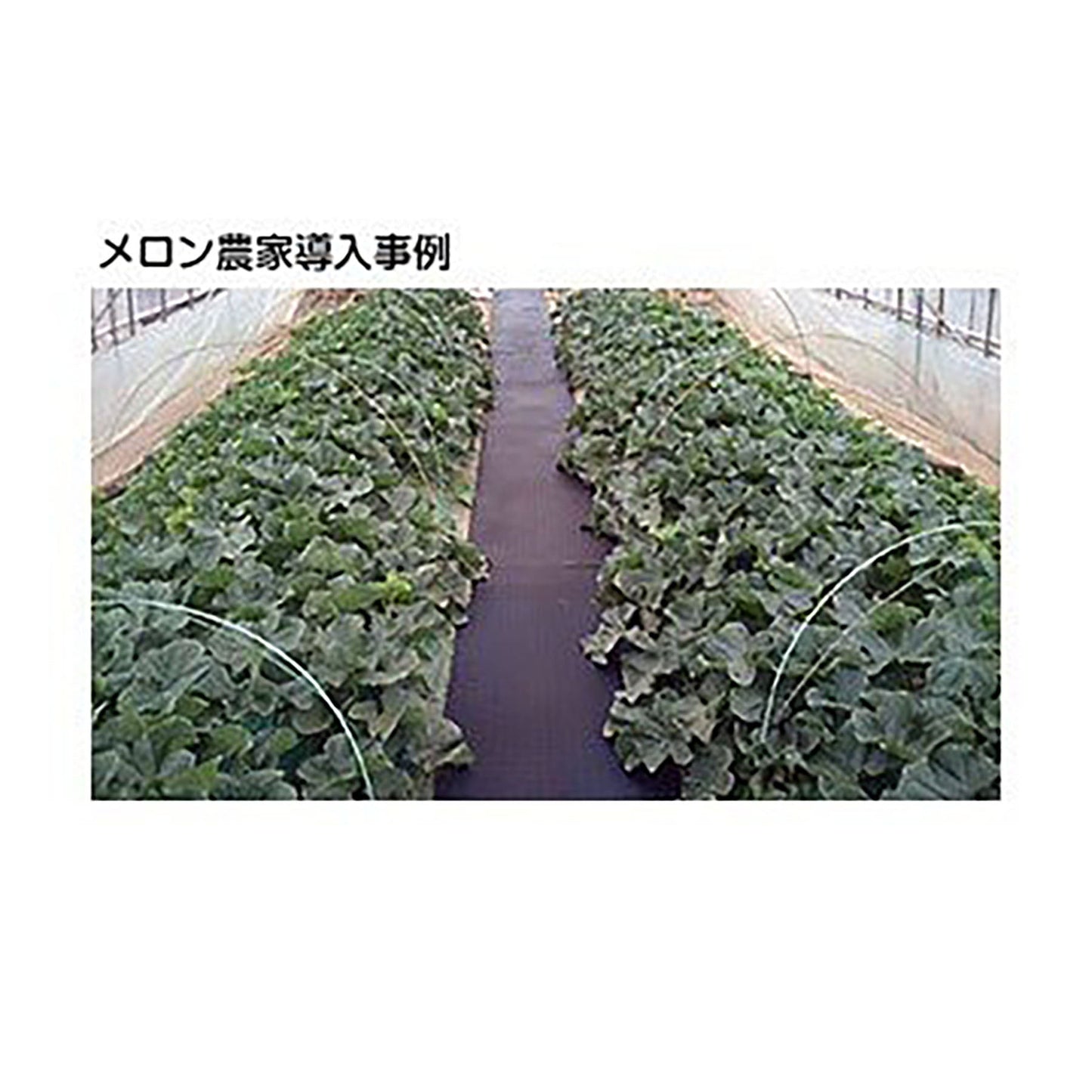農作業用ゴムマット 5mmx350mmx2000mm