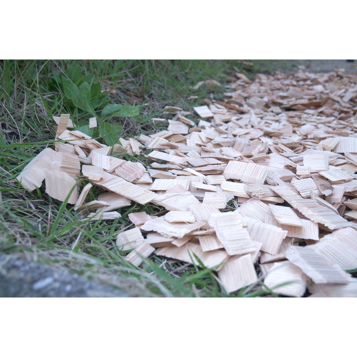 ひのきウッドチップ樹皮なし100L