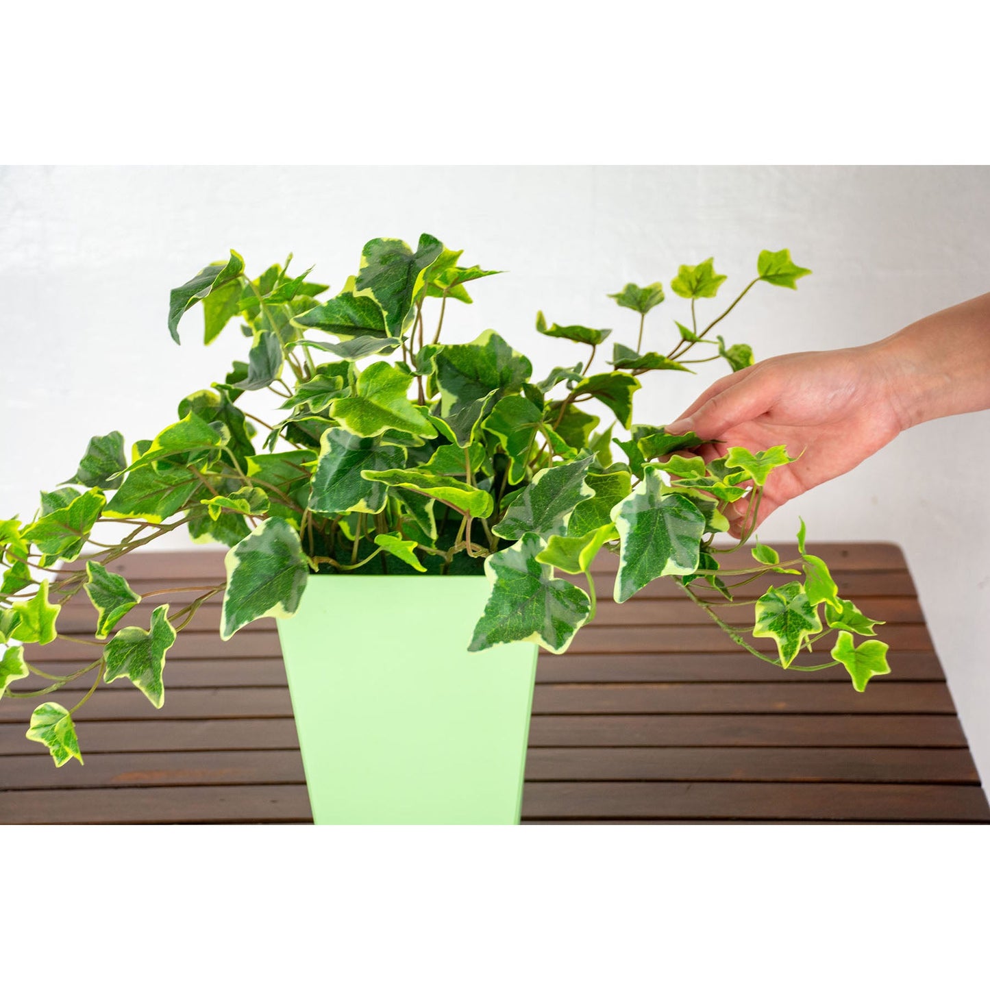 人工樹木/人工観葉植物 アイビー