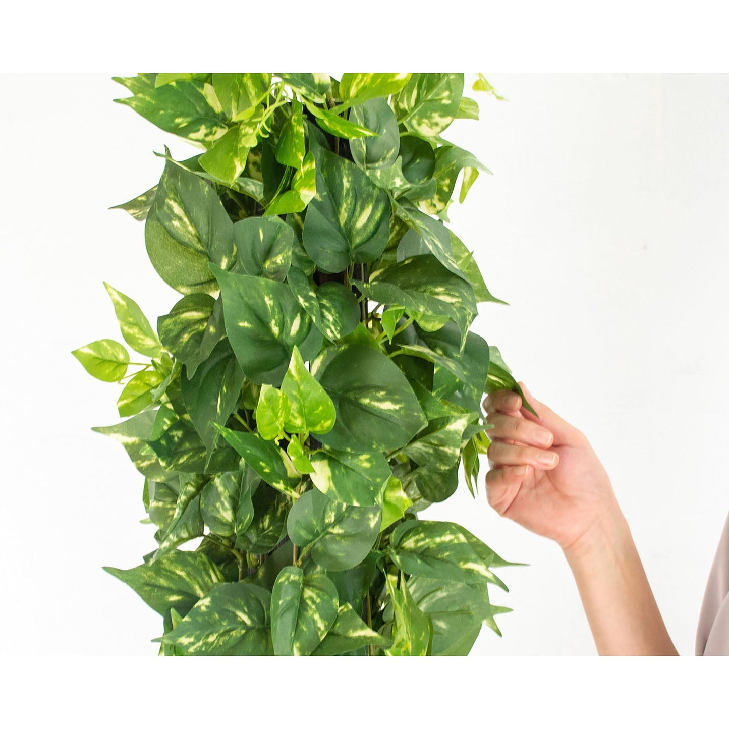 人工樹木/人工観葉植物 ポトス