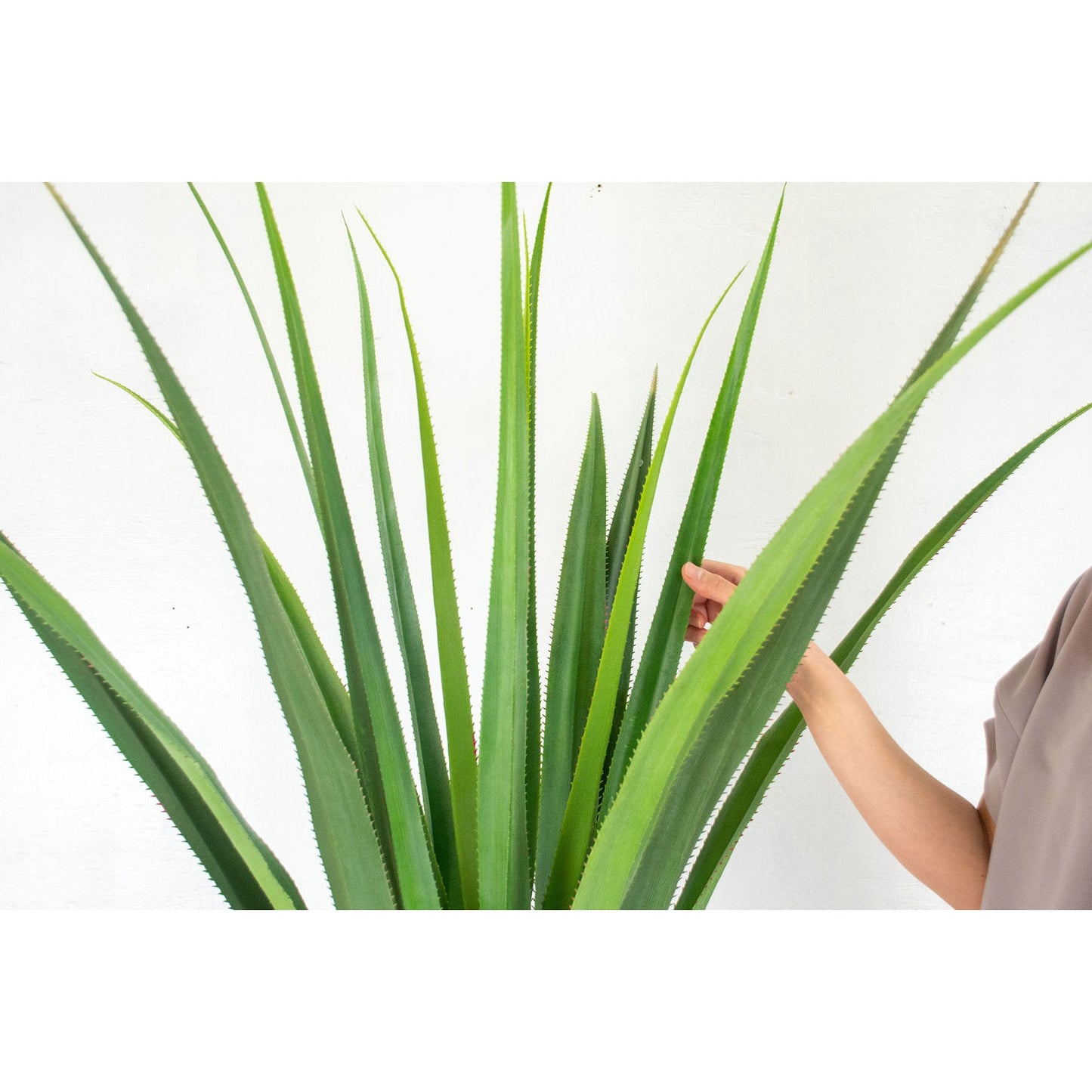人工樹木/人工観葉植物 パンダヌス