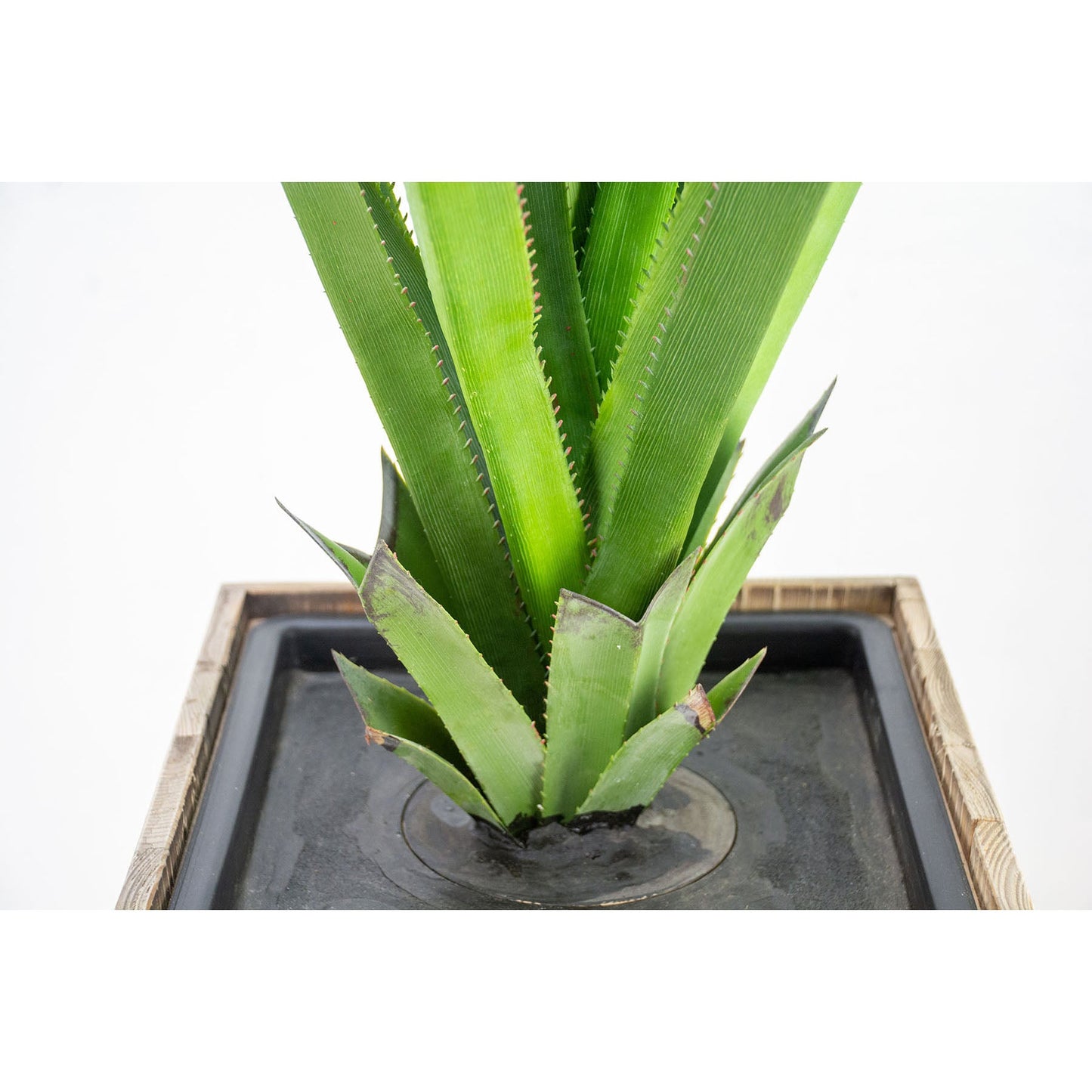 人工樹木/人工観葉植物 パンダヌス