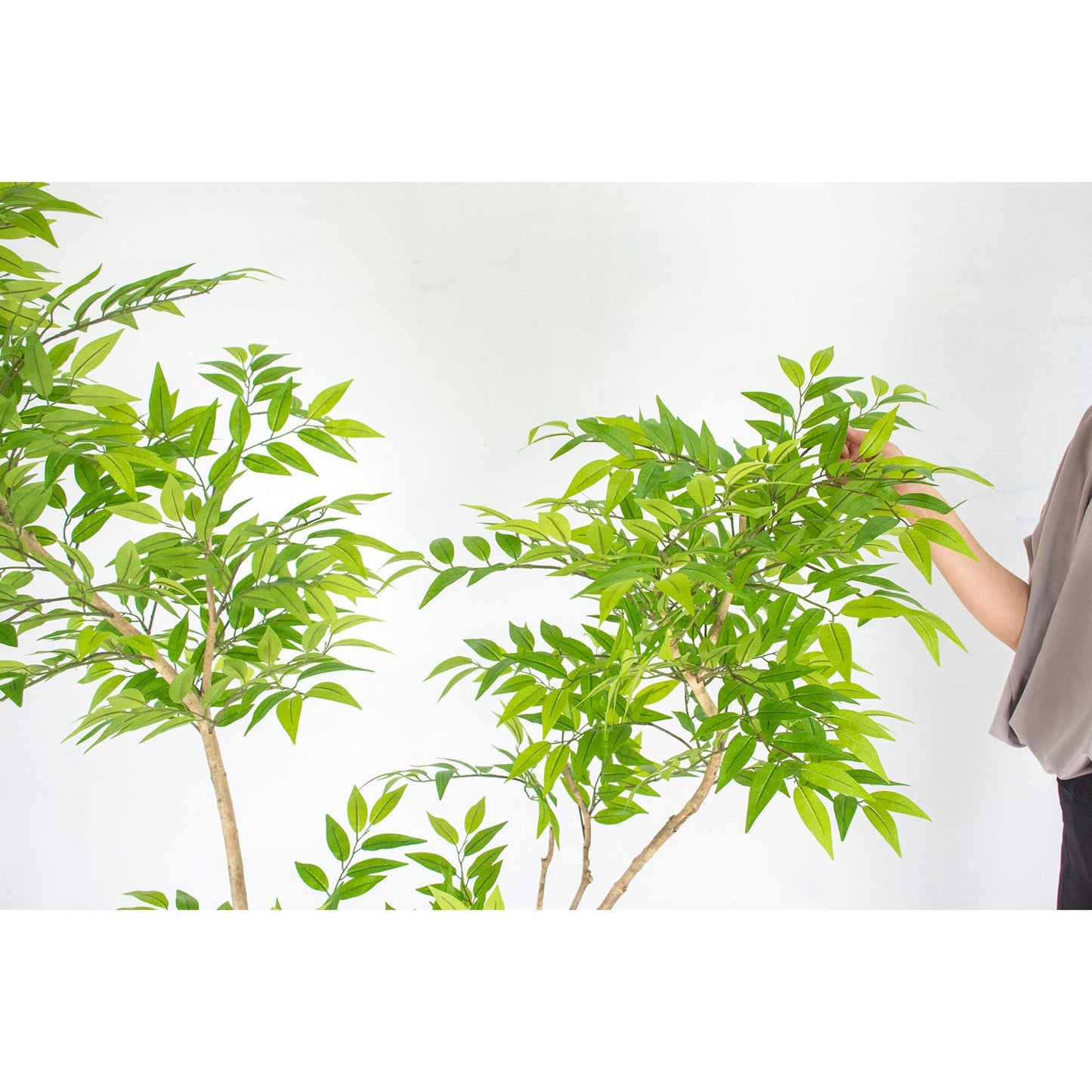 人工樹木/人工観葉植物 フランスベンジャミン