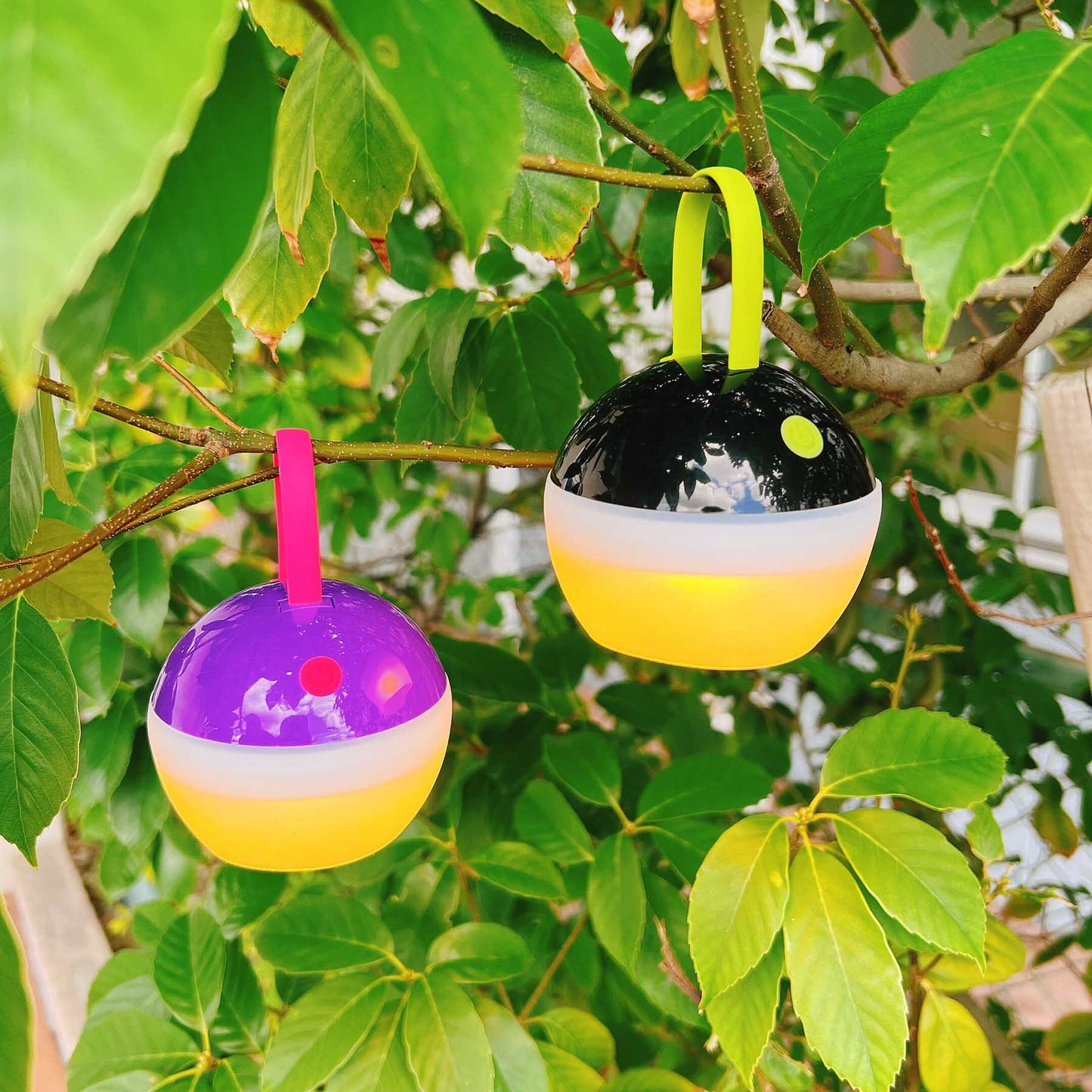 LEDキャンピングランタン 紫 L1PL