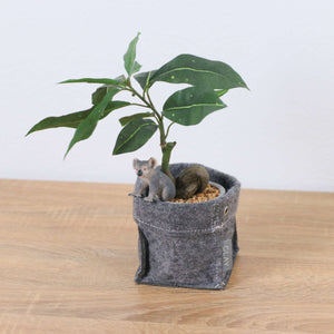 パキラフェルトポットコアラ 全長32cm