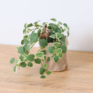 プミラアサポットナマケモノ 全長24cm