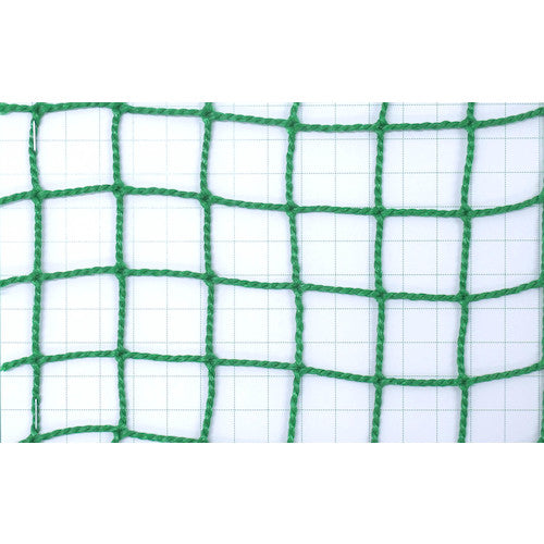 害獣防鳥ネット 25mm目 2x3 グリーン