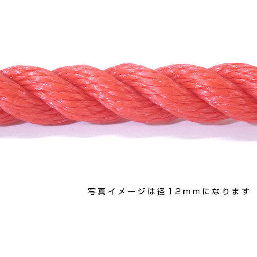 ポリエチレンロープ 赤 9mm 100m巻