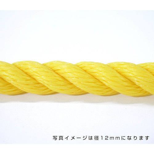 ポリエチレンロープ 黄 １０ｍｍ ２００ｍ巻 – GREEN CROSS-select