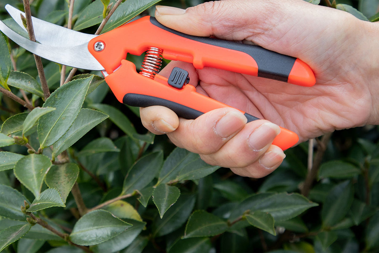 ハンドルがすべりにくい!カーブ刃 剪定はさみ