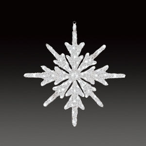 スノーギャラクシー(中)