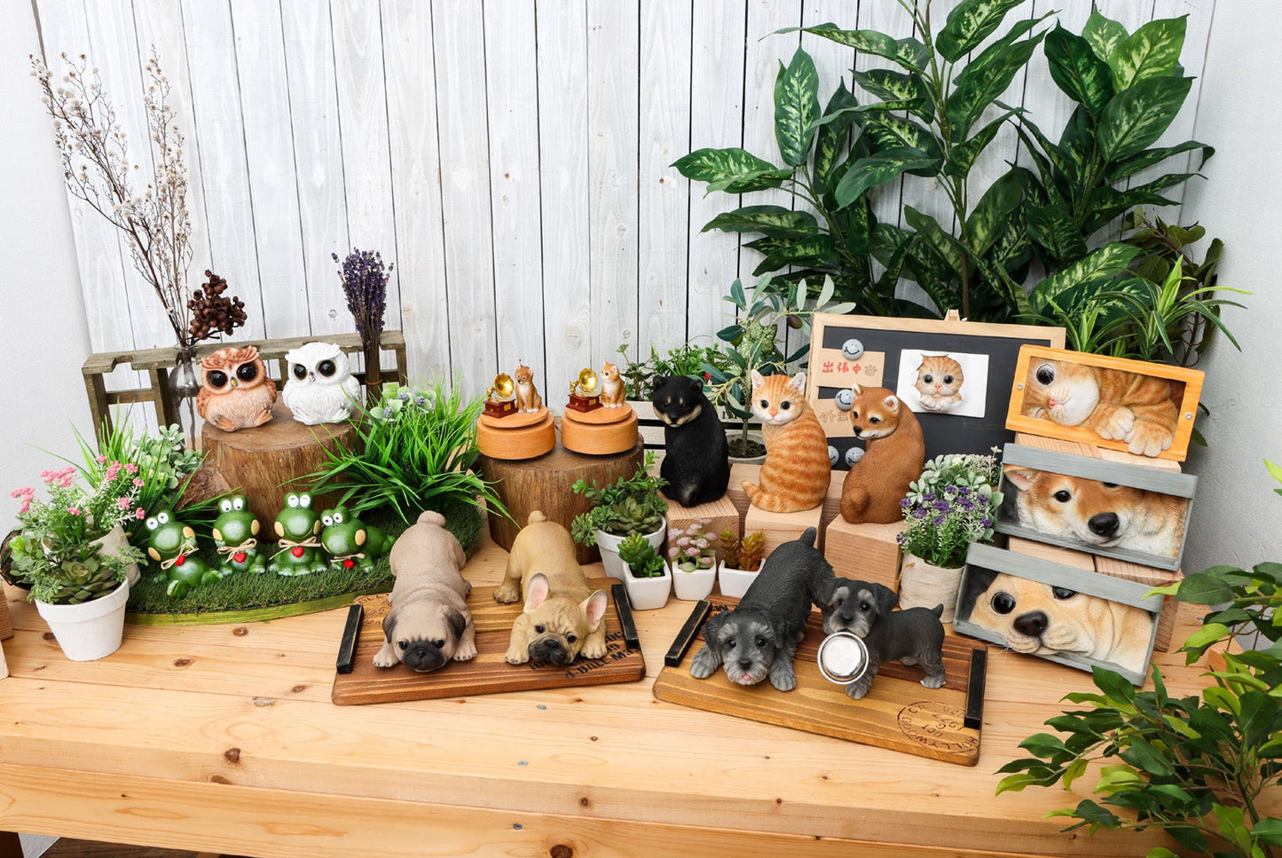 フクロウ QB-003W