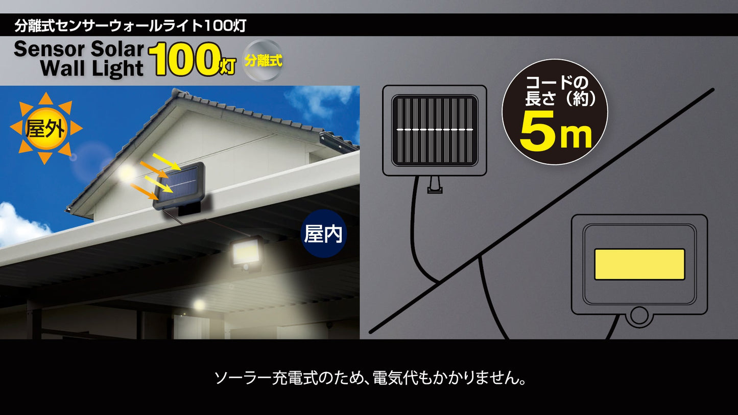 分離型COBナイトスター100 灯