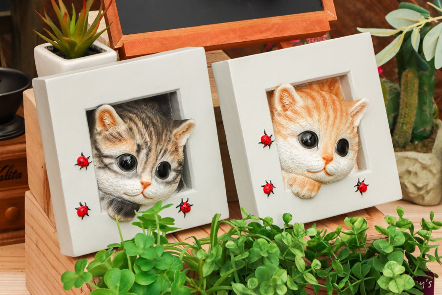 QB-013Y べニーズキャットひょっこり (茶トラ)