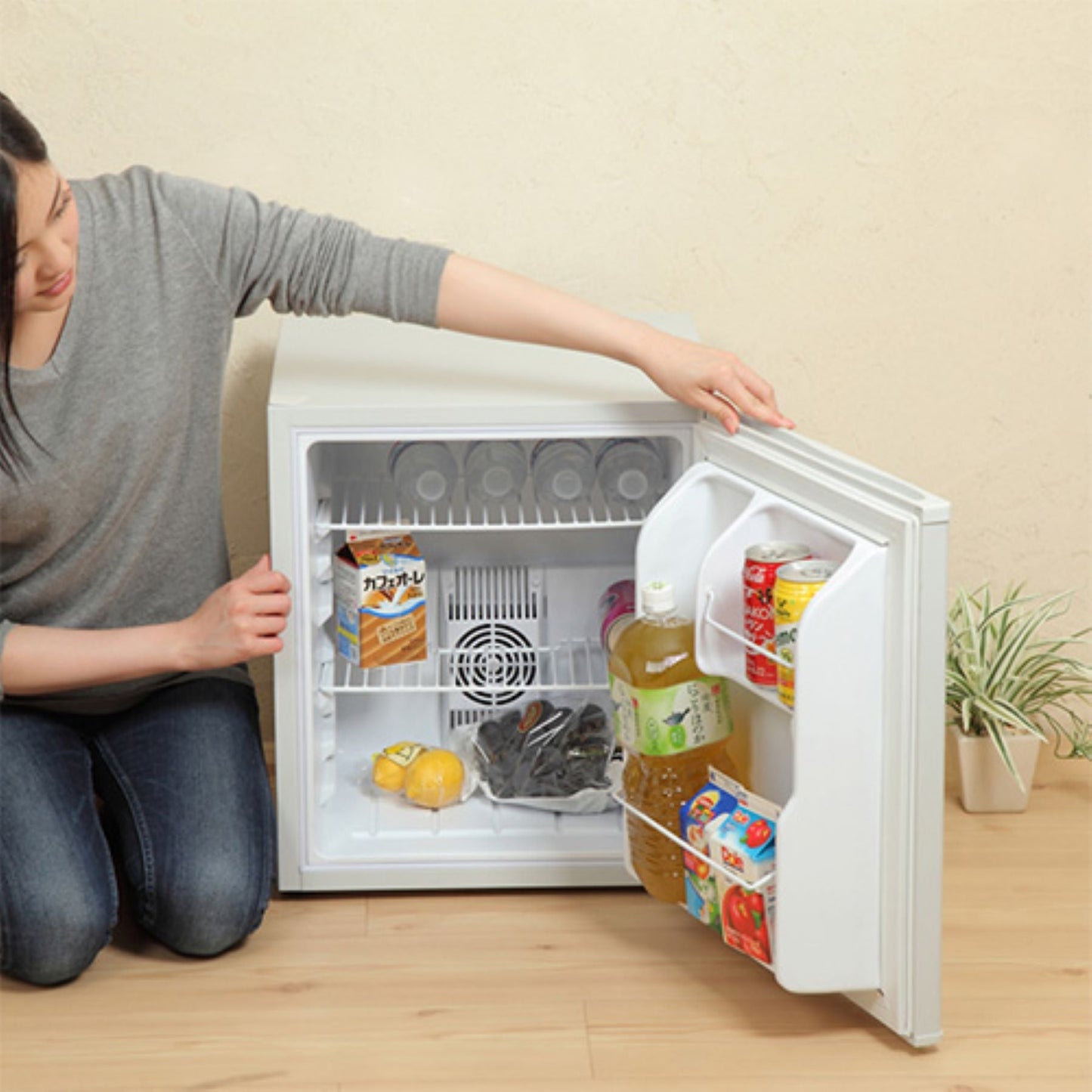 ミニ冷蔵庫 48L ペルチェ式 無音 3段階温度調節 仕切り棚の調節可 BK
