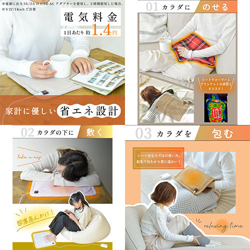USBホットマット43×31cm 電気毛布 3段調温 省エネ 冷え性対策 GE