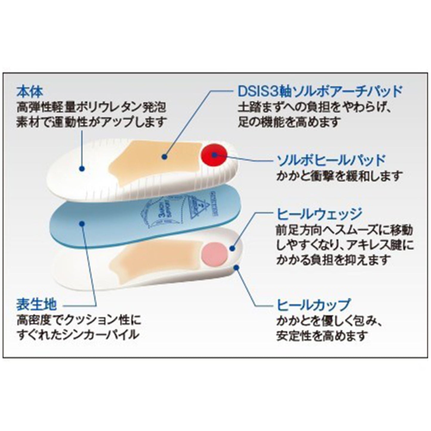DSISソルボランニング 3L